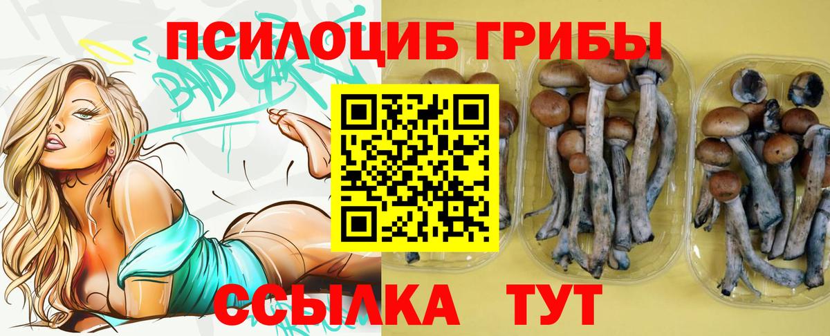 Галлюциногенные грибы прущие грибы Северобайкальск