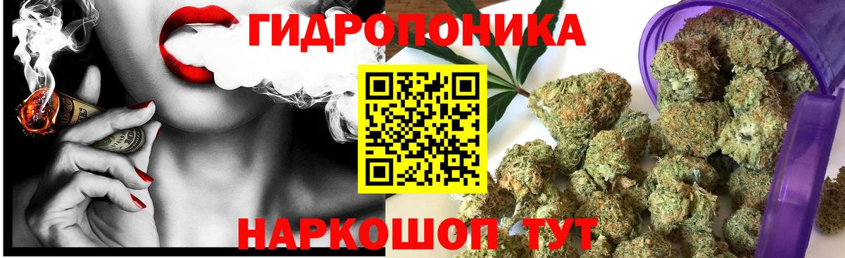 Бошки марихуана гибрид Северобайкальск